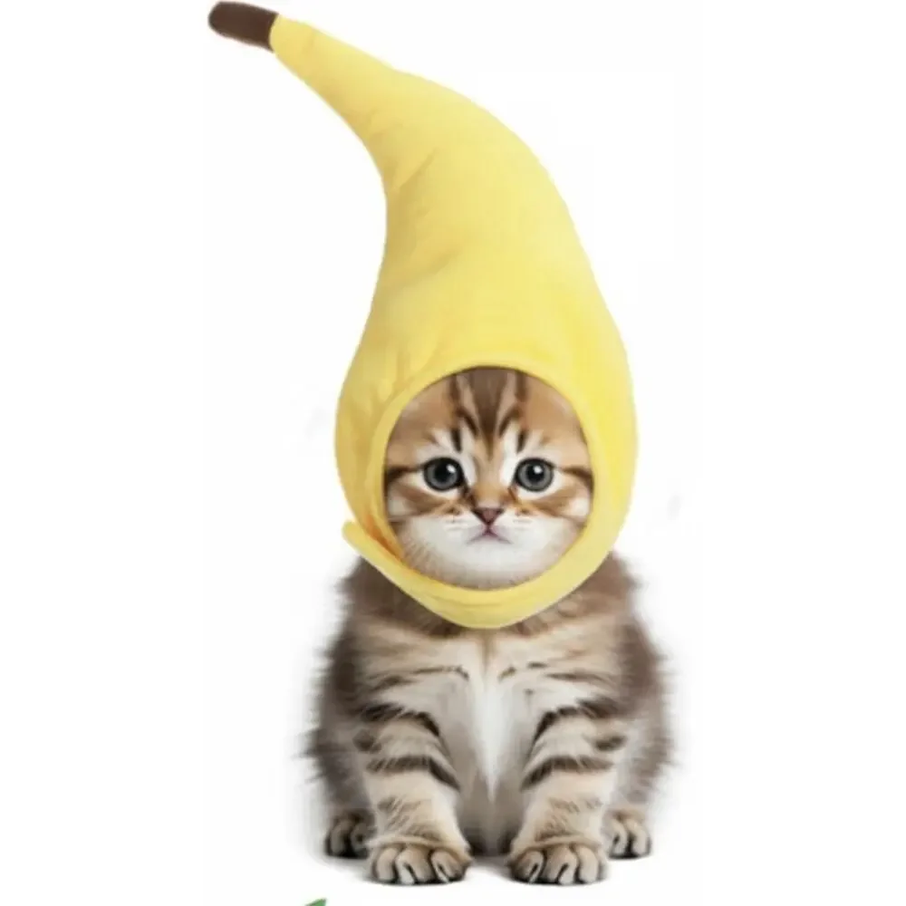 Geyoga 5 Pcs Pet - Dog - Cat Hat Costumes Fruits / Bunny New